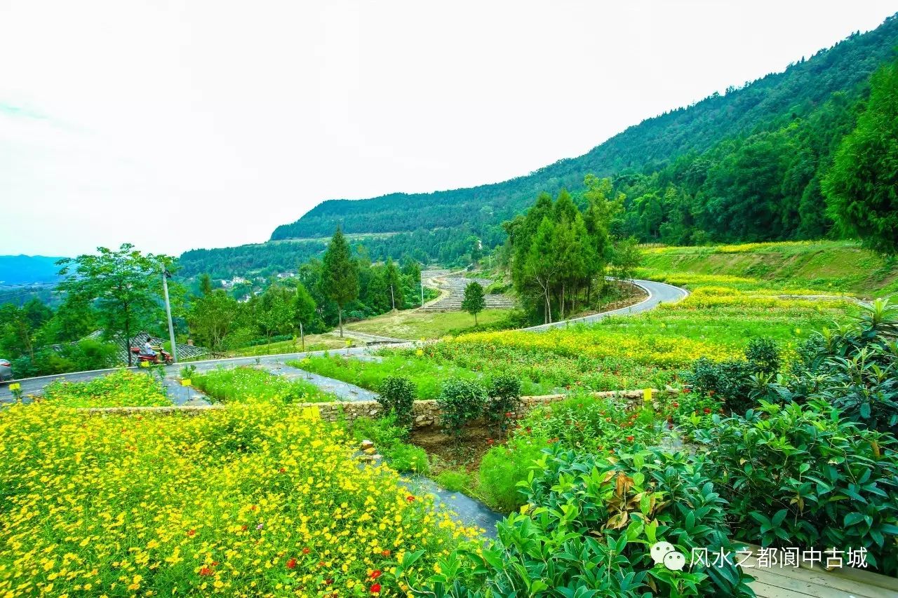 阆中市五龙村旅游景点图片