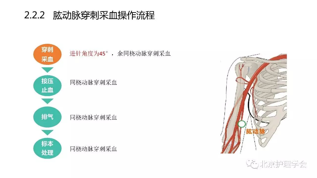 肱动脉血气图片