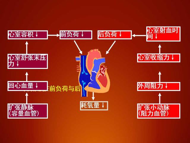 致使心臟負擔過重而引起心力衰竭,急性肺水腫.