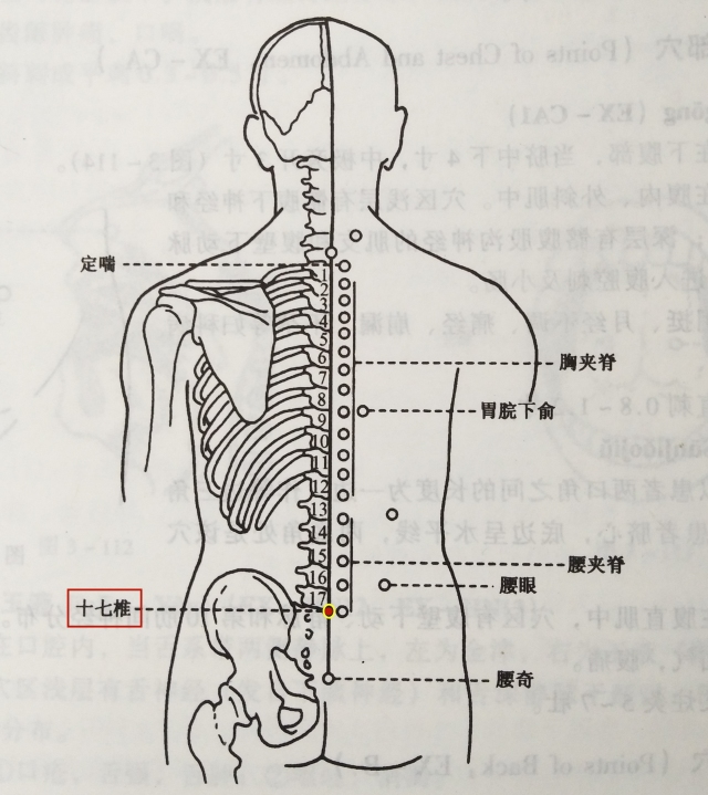 常用奇穴·背部穴之十七椎 