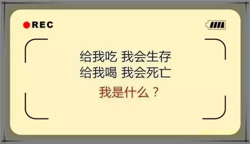 一般腦筋急轉彎只是考智力,簡單或搞笑,這幾道題卻難到要(腦細胞)的命