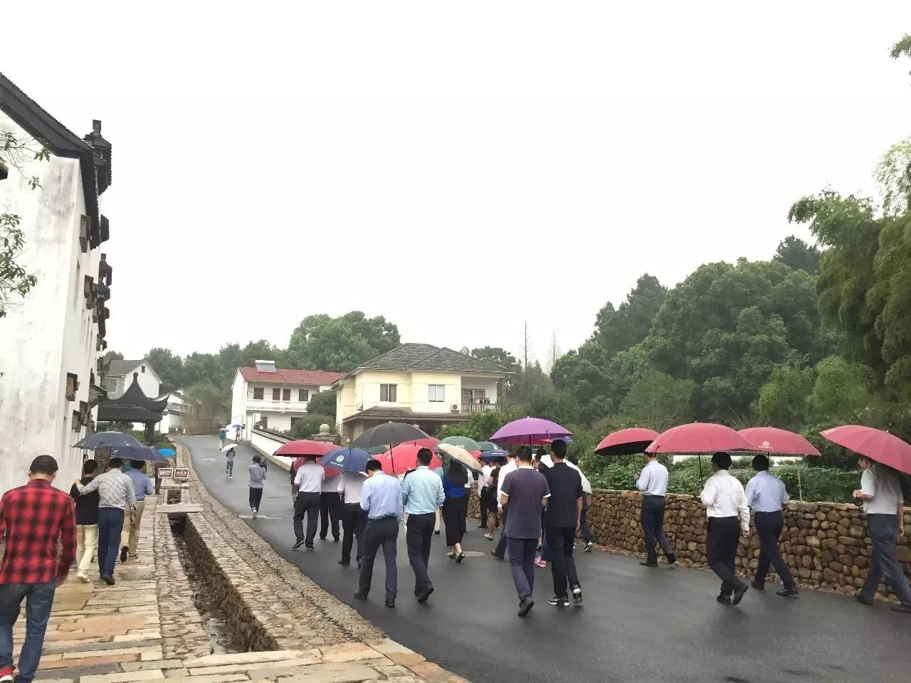 作为安吉美丽乡村的标杆之一,剑山村蔓塘里在这两天成了全国各个市县