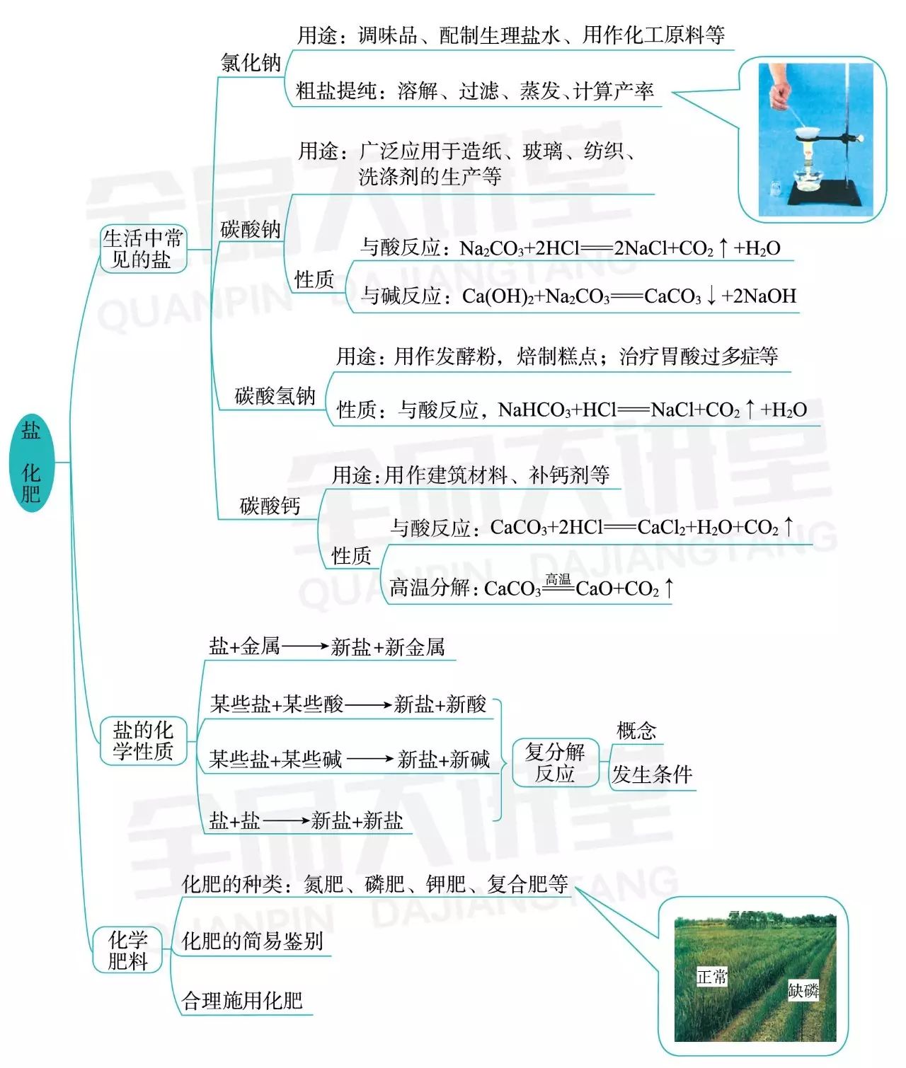 初中化學人教九下思維導圖點單