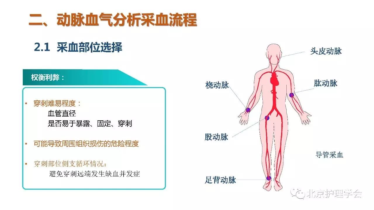 抽血气图解图片