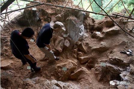 周口店第14地点位于第1地点南偏西的一座低山上,因其地盛产鱼化石