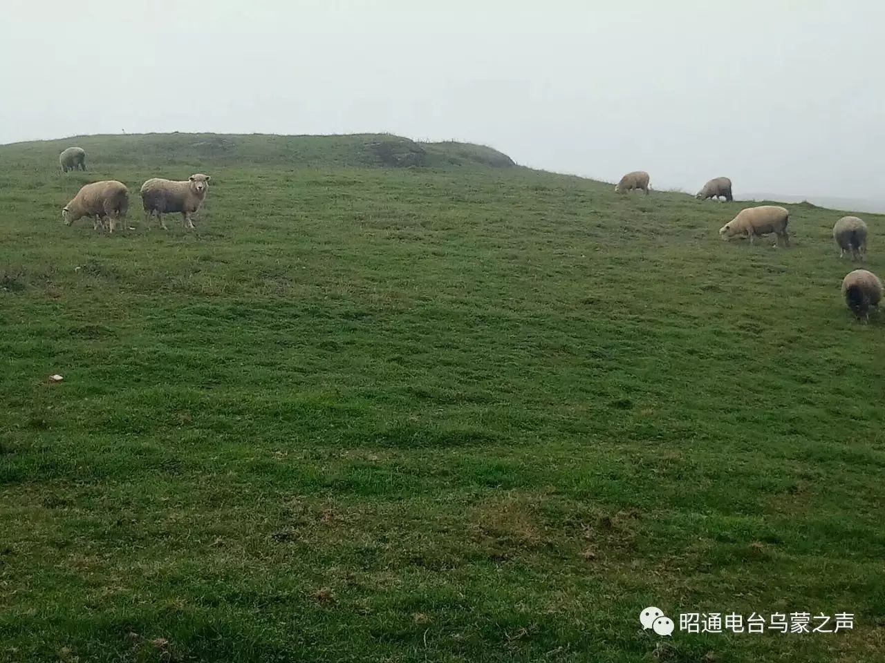 马楠蜡染《扶贫故事》栏目组结束直播欢迎转载,请注明来源于"昭通