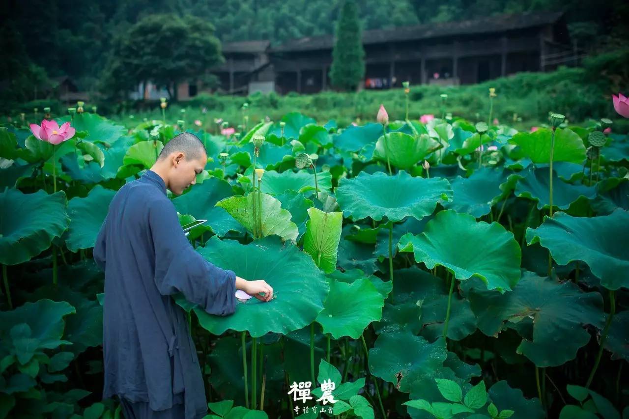 江西曹山宝积寺方丈图片