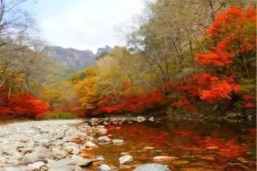 看遼寧省內萬山紅遍,層林盡染,國慶就出發吧