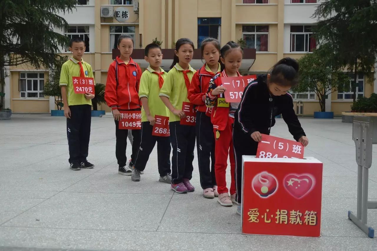 贵州省绥阳县洋川小学图片