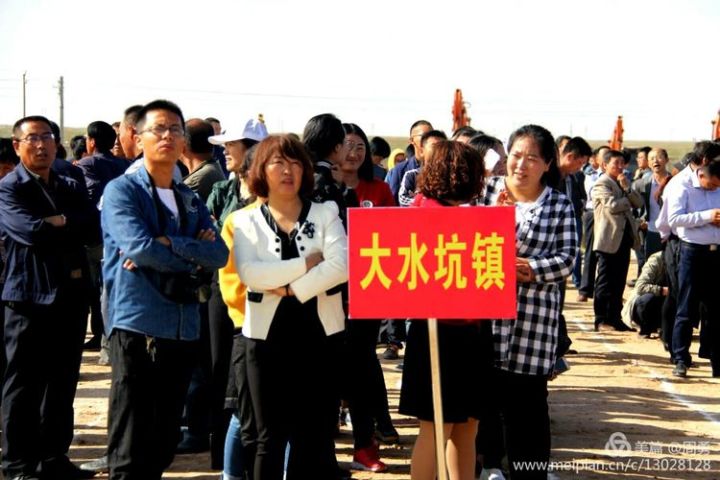 大水坑这是在干吗人潮涌动这场面