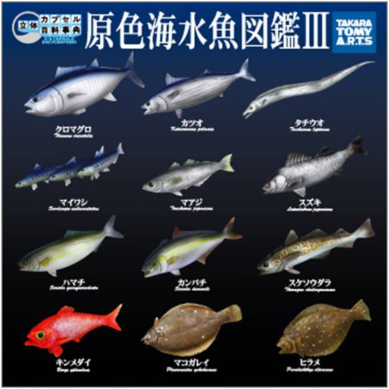 深海水族馆全鱼图鉴图片