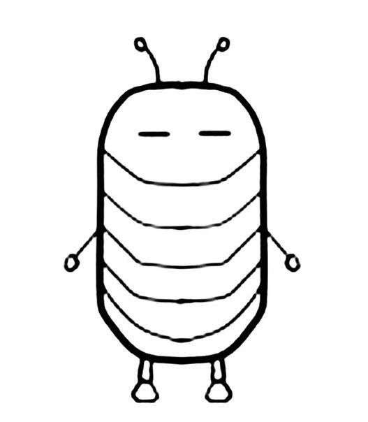 通识作业西瓜虫是昆虫吗