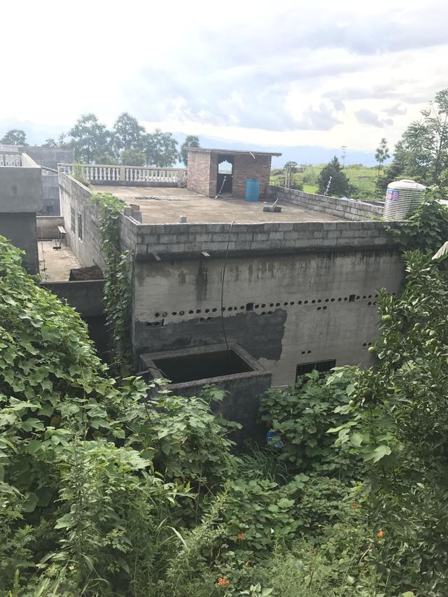 屋顶就是"水源"的"水池村,你见过吗?