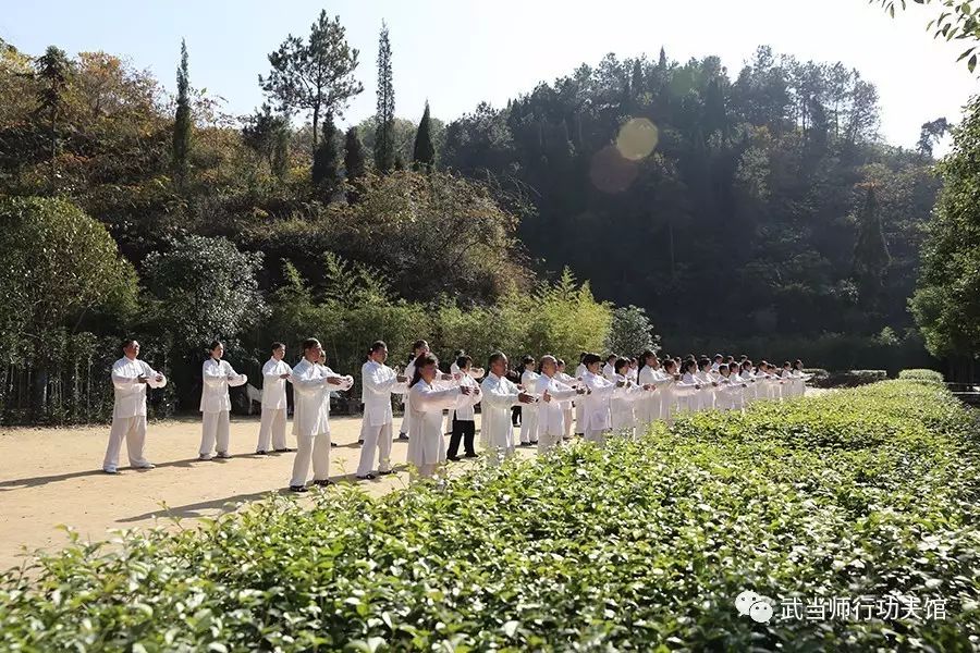 养生我言秋日胜春朝(我言秋日胜春朝前面是什么)-第2张图片-鲸幼网