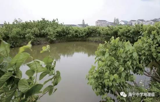 行走天下珠三角人民的智慧基塘农业