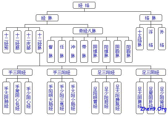 十二时辰经络养生对照表十二时辰对应五行