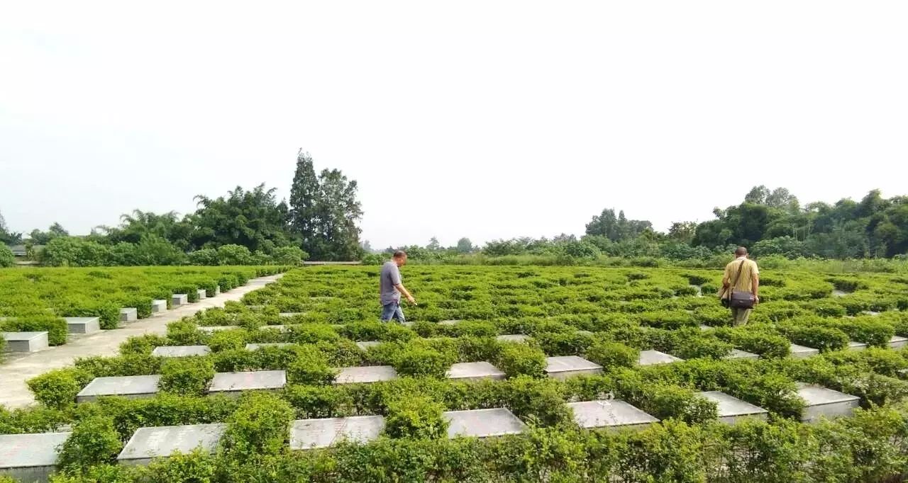 據瞭解,近年來廣漢市殯儀館和龍泉山公墓狠打