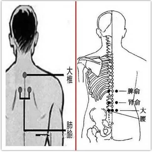 任脈:關元,神闕,天樞,足三里,合谷特別關注 老年人秋分時節防過敏一到