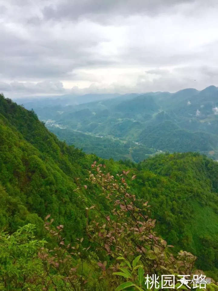 利川市元堡乡桃园生态旅游开发高峰山脉天路观光旅游景点