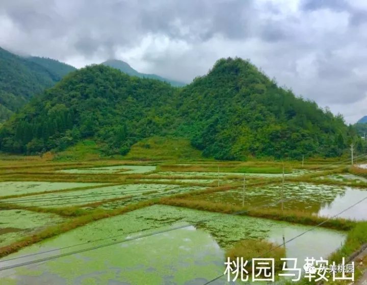 利川市元堡乡桃园生态旅游开发高峰山脉天路观光旅游景点