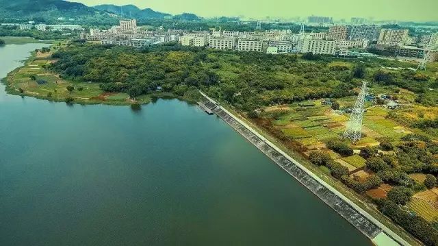 中國夢深圳行明湖城市公園將建20版快來提交設計方案打造光明新地標