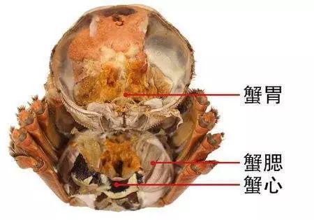 警惕28岁男子这样吃蟹险丧命医生说很多人都犯过你中枪没