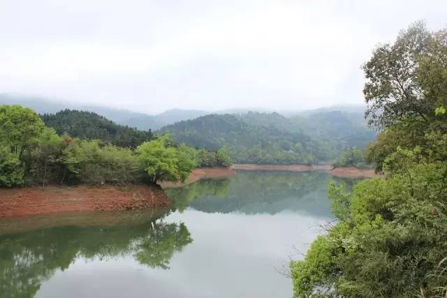 岭水库大桥上宅村的一座古桥樟树岭水库管理部门为高安市樟碧水库管