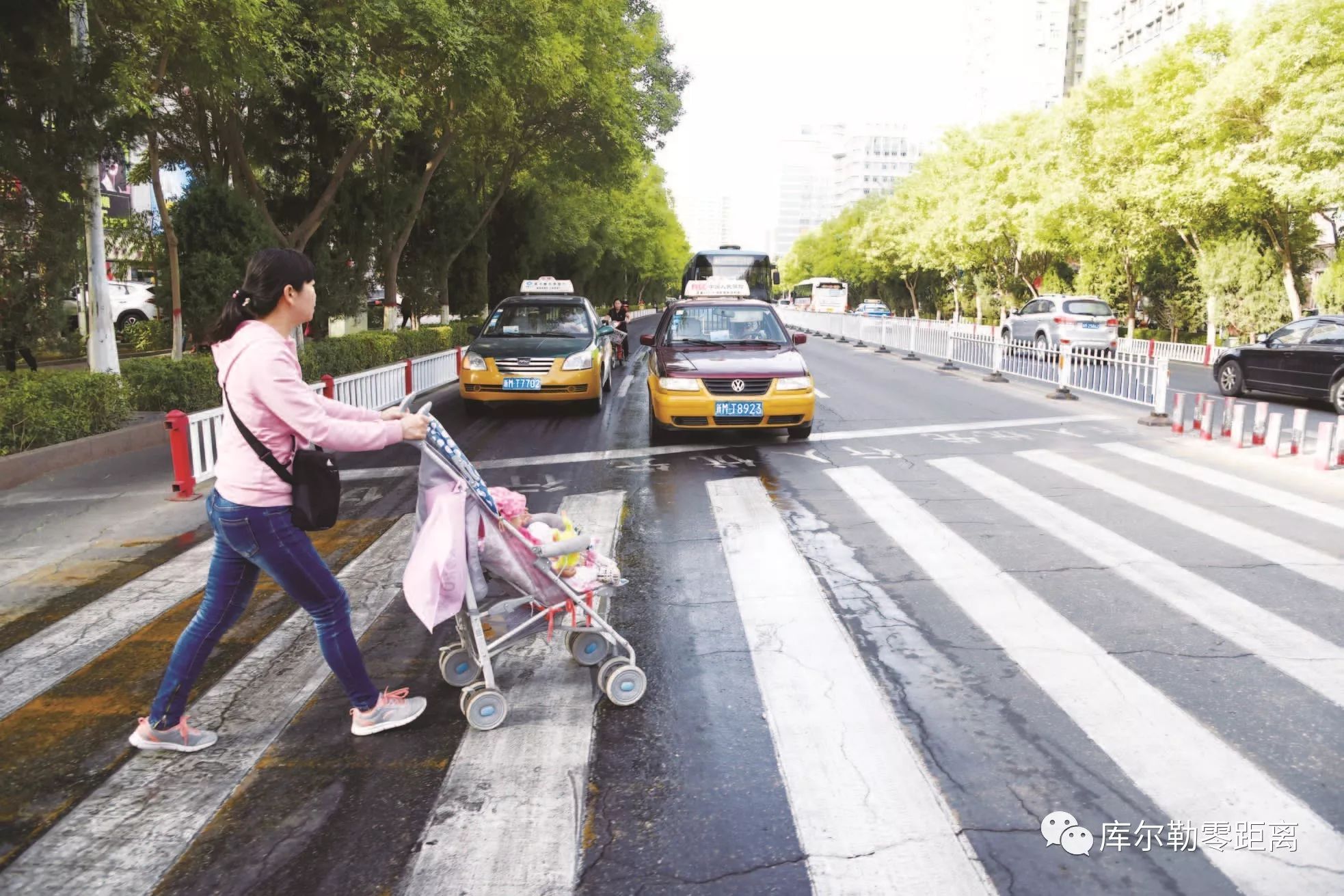 礼让行人拍照图片