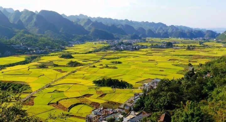 万峰林的"西峰林"有一大片美丽的八卦田.