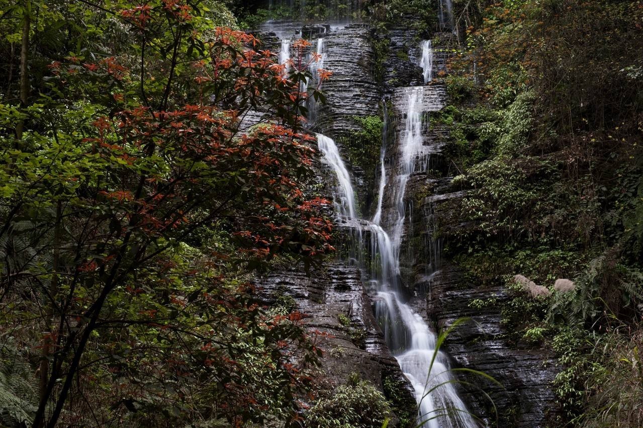 僰王山景區位於興文縣,為四川省級風景名勝區,興文世界地質公園四大