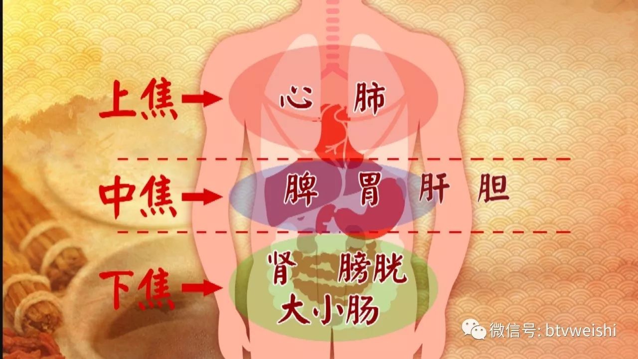 【養生堂】今日17:25播出《通調水道補三焦》