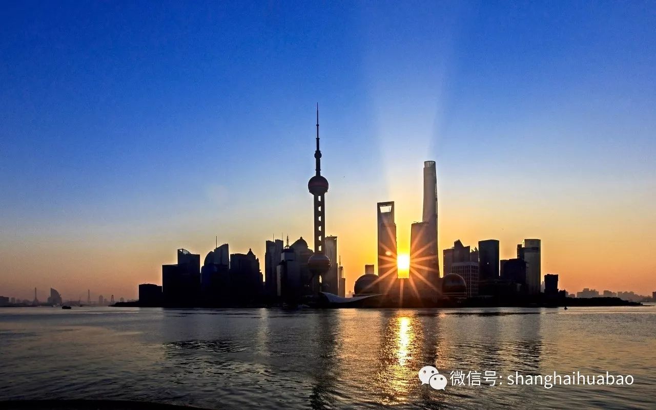 上海阳光新景图片