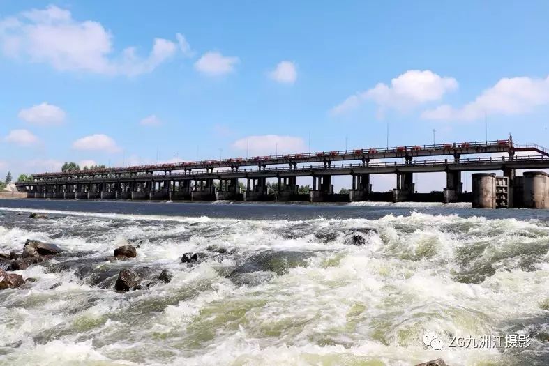 景《黑玫瑰葡萄園》鍾文 攝石嶺美食巫記古粽 籺 陳希宇 攝石嶺菸絲廠