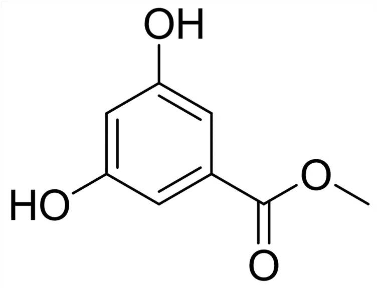 從生物學的邏輯上講,咖啡生豆的理化特徵,性狀形態等是由該咖啡樹的