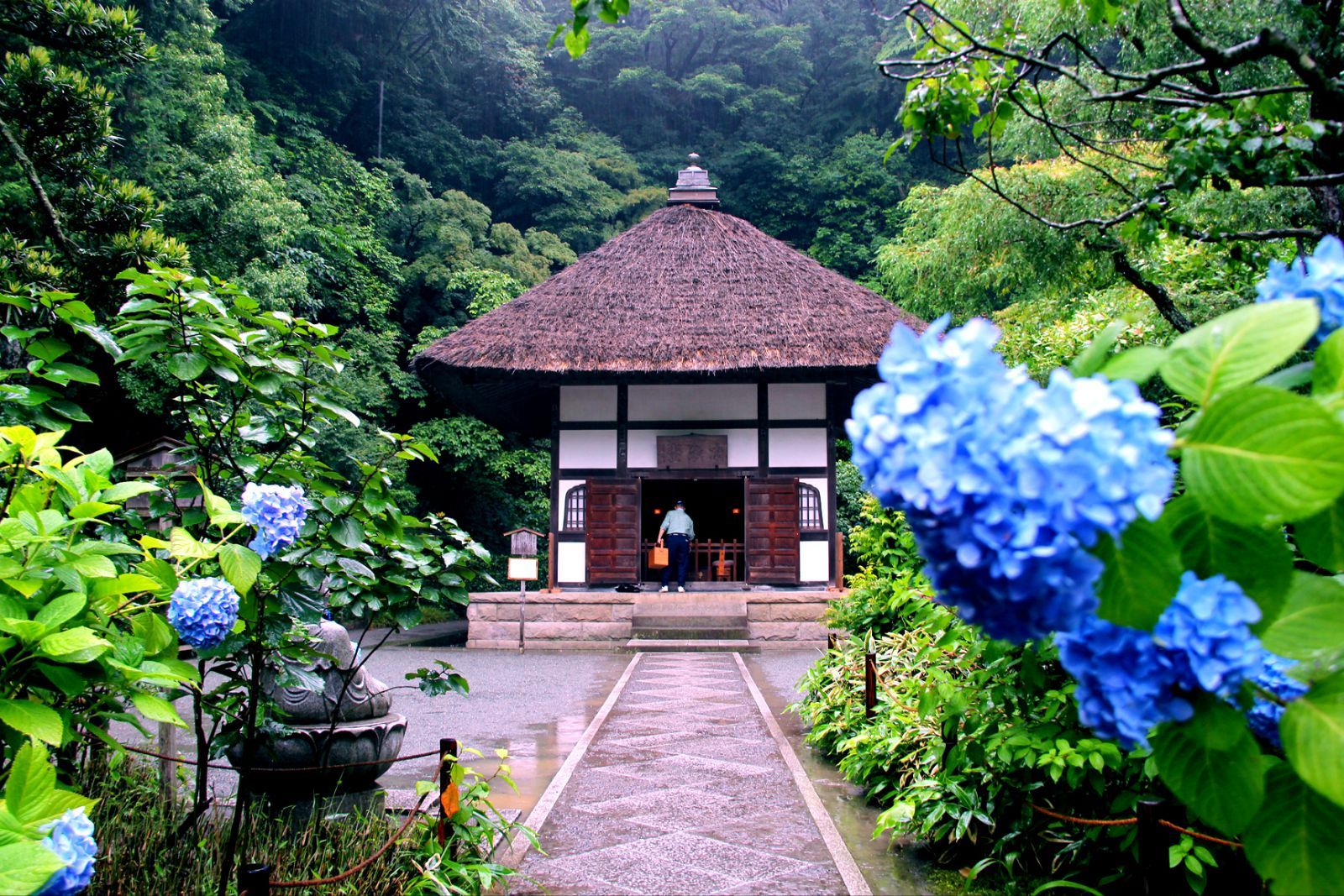 明月院是属临济宗建长寺派的一个寺庙,院内种植了许多紫阳花,因此也被