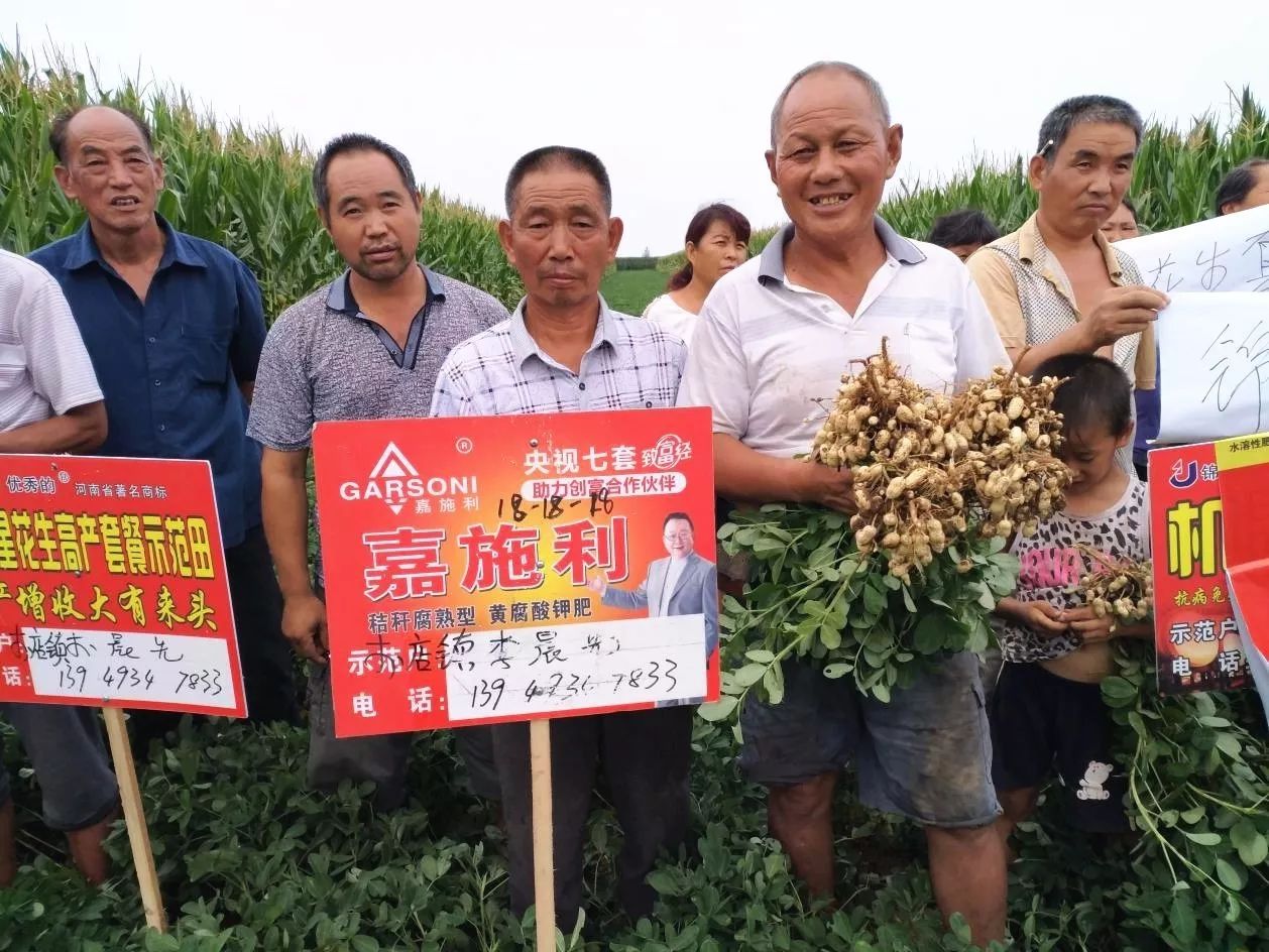 第二站:郝寨嘉施利18-18-18黃腐酸鉀型複合肥花生示範田.