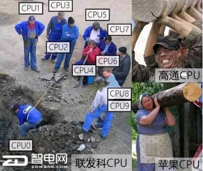 AMD表情包图片