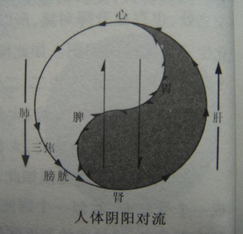 刘先银经典点说《黄帝内经》补肾补肝养胃健脾被称作养生界"四大名补"