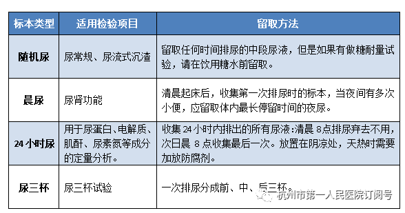 24小时尿蛋白留取方法图片