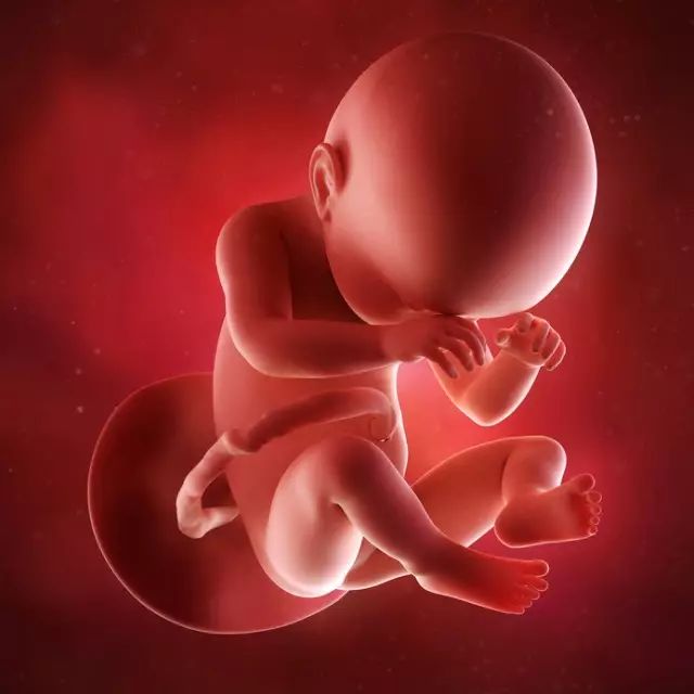 孕5月查出胎儿先天畸形,准妈妈后悔当初的一意孤行