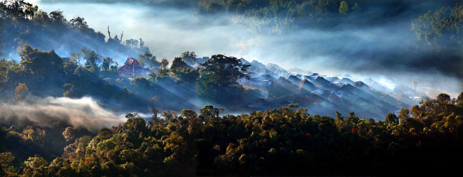 版纳茶区著名茶山图片