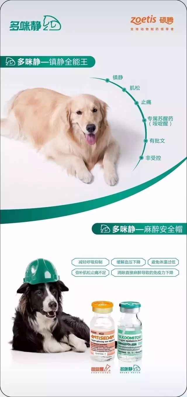 多咪静真情回馈再送好礼