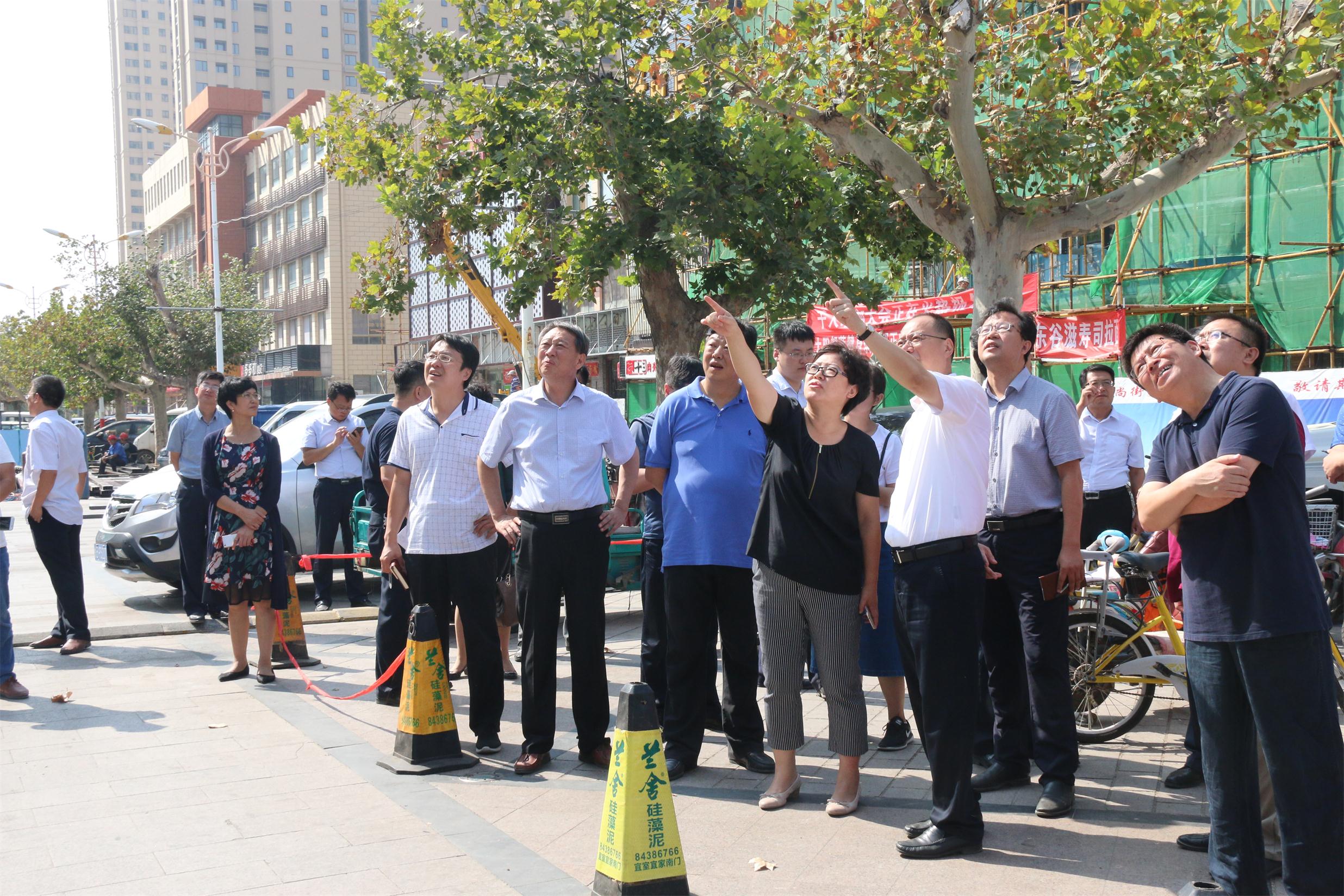 青岛市委书记张杰图片