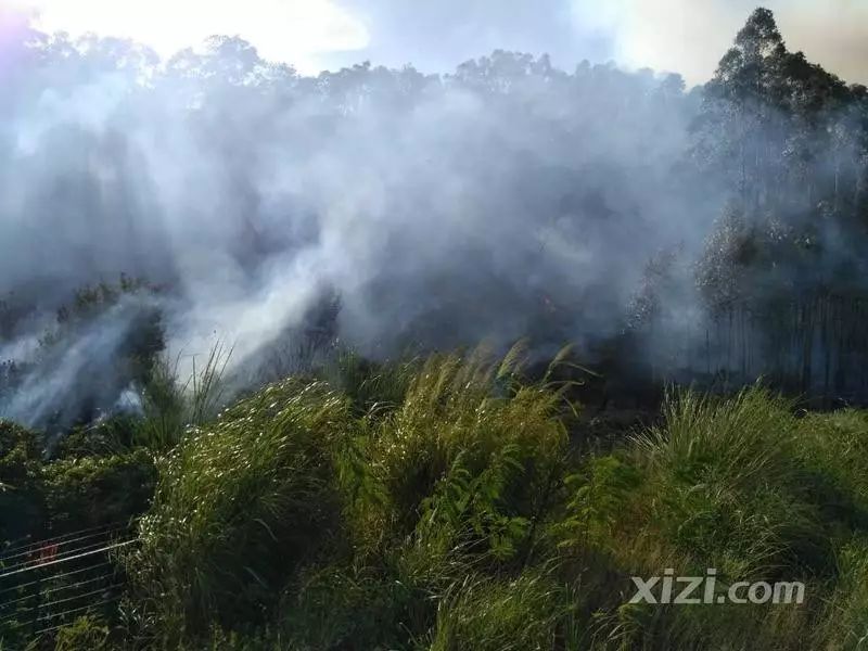 白花凌坑火烧山,现场浓烟滚滚,是拜山时不小心引发的?