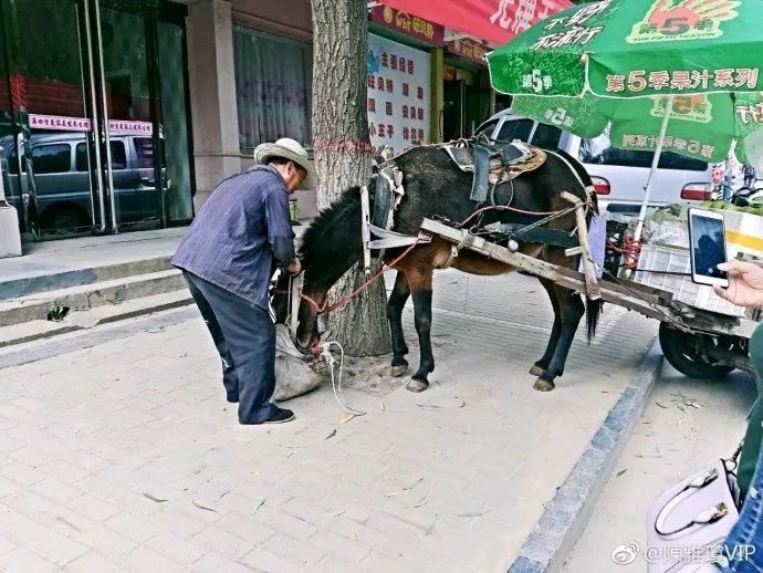 搞笑的赶车图片图片