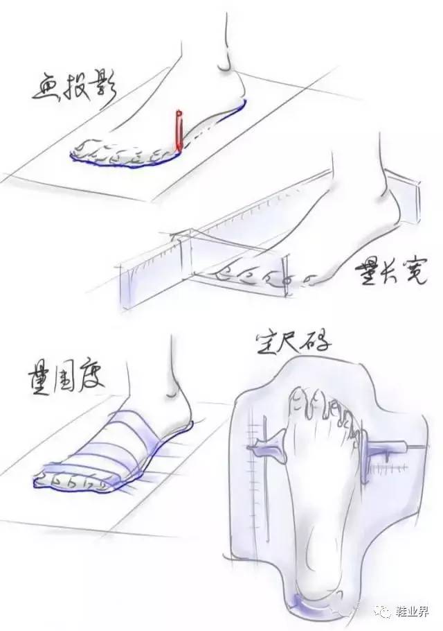 用量脚器测量跖骨位置(真实尺码)和足宽度分型3