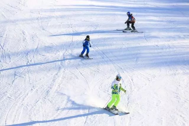 健飛少年寒假滑雪訓練營