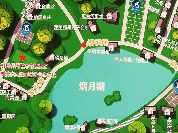 四川省退役士兵就业创业服务促进会领导出席清水河店