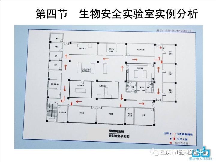 3临床生物安全实验室设计要素廖璞