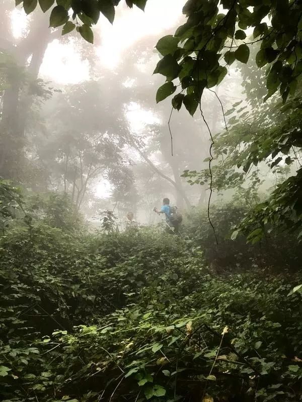 追隨南師登峨眉山中峰之顛大坪寺